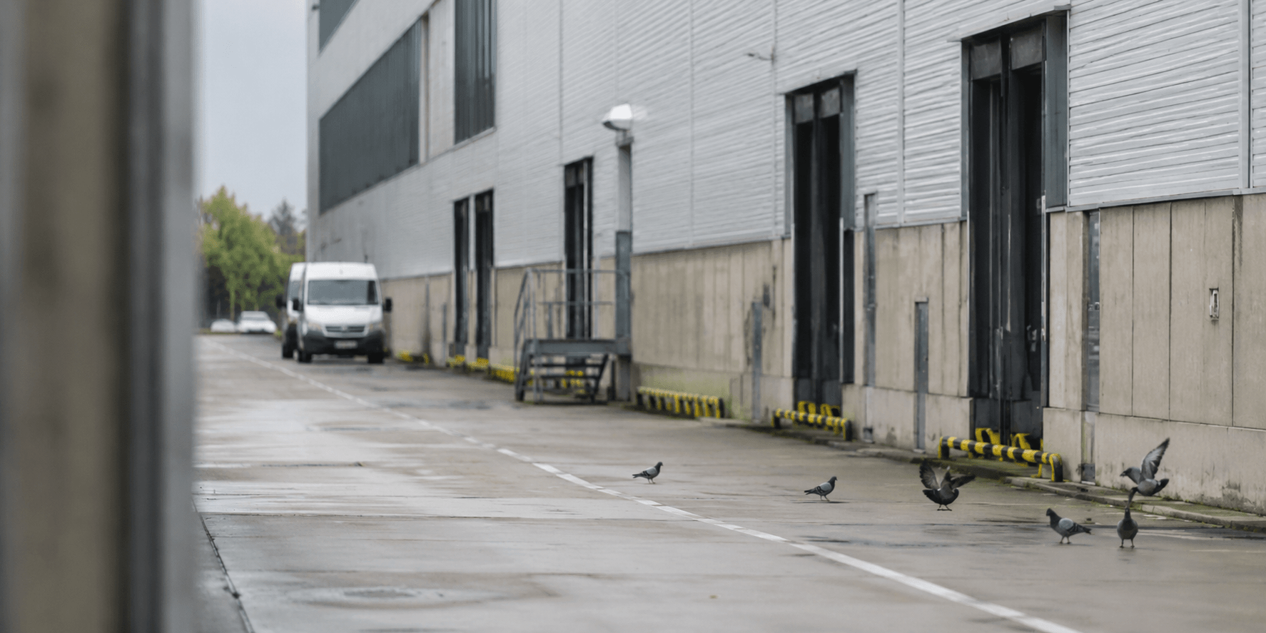 Ruhr-Schädlings-Profi Fahrzeug vor einem Gewerbeobjekt im Ruhrgebiet